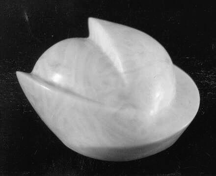 Nucleus